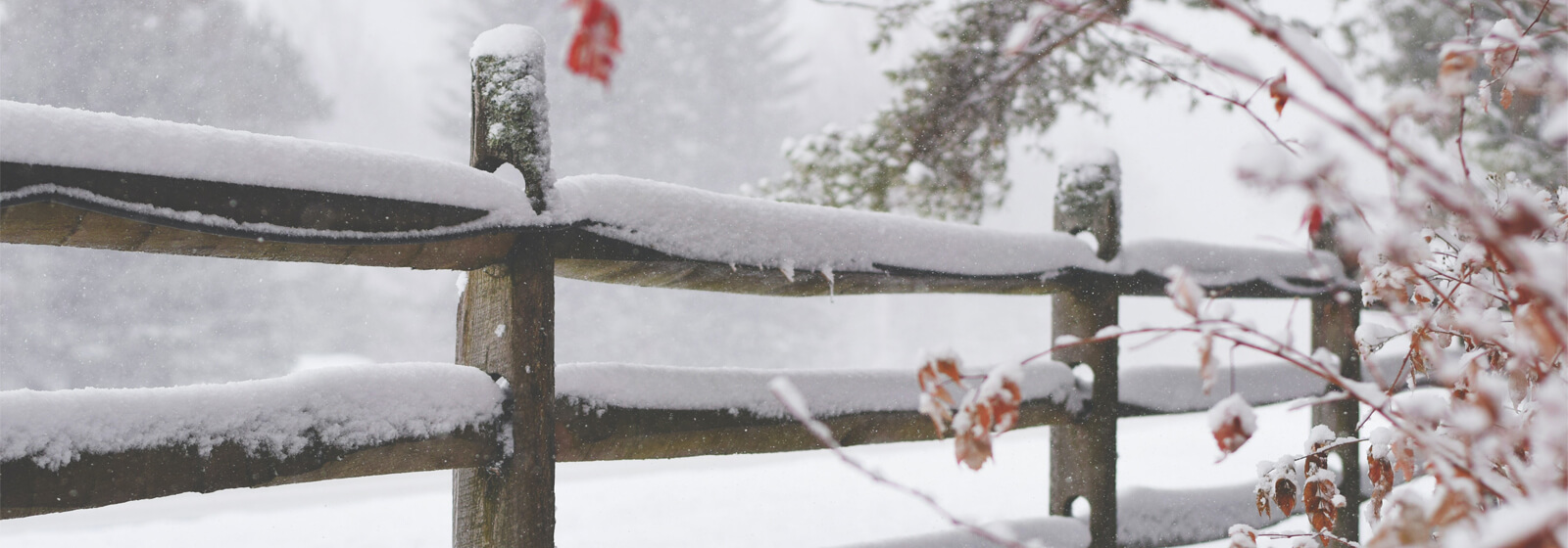 winter 3 image slide